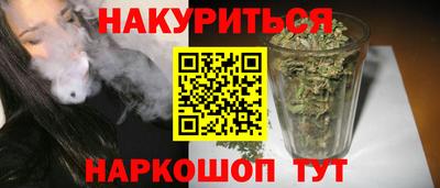 сатива Гай