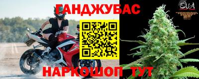 сатива Гай