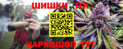 сатива Гай