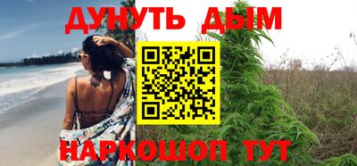 сатива Гай