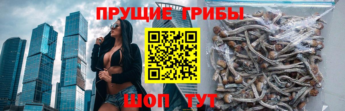 Альфа ПВП СОЛЬ кристаллы  МАРИХУАНА  Вход с VPN  НБОМе  MDMA  ГАШИШ  Пугачёв  COCAIN  МЕФ   Каннабис 