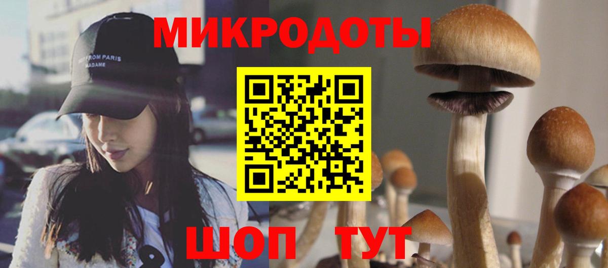 Галлюциногенные грибы мицелий  Вход с VPN  Пугачёв  Псилоцибиновые грибы Magic Shrooms 