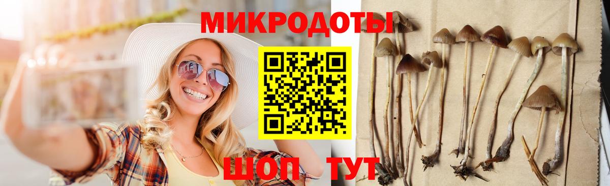 Галлюциногенные грибы MAGIC MUSHROOMS Пугачёв